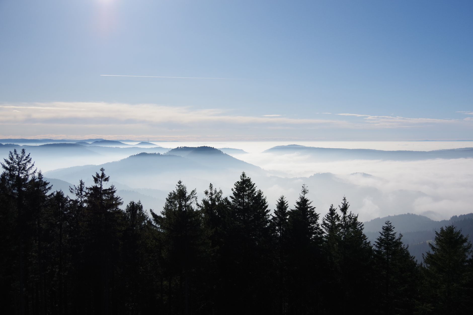 Black Forest High Road: Baden-Baden to Freiburg (3 Days)