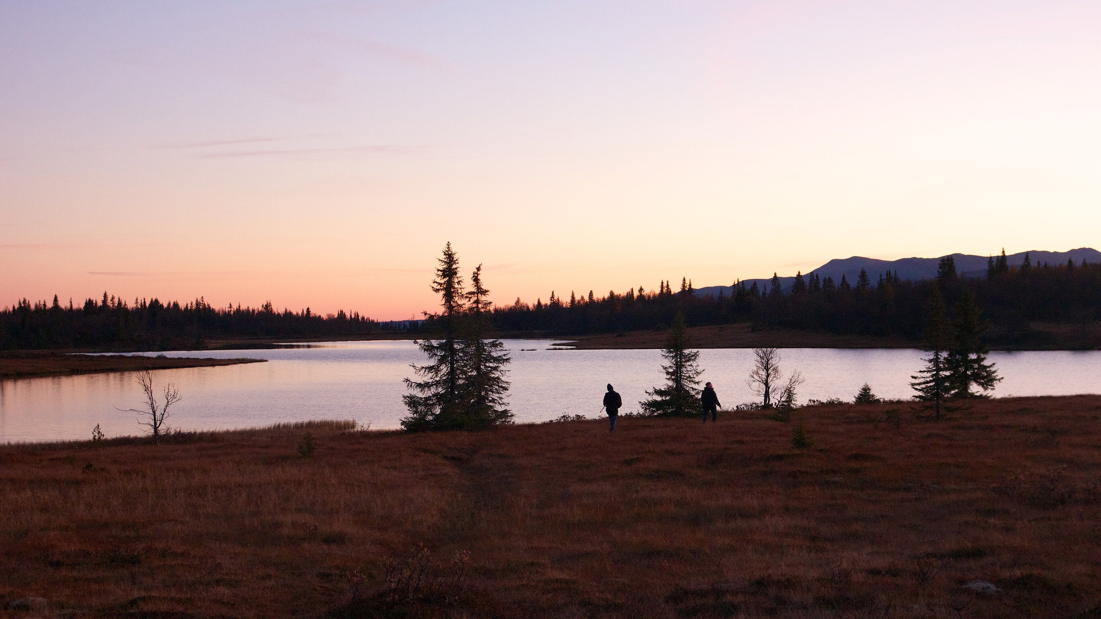 Across Gausdal Vestfjell