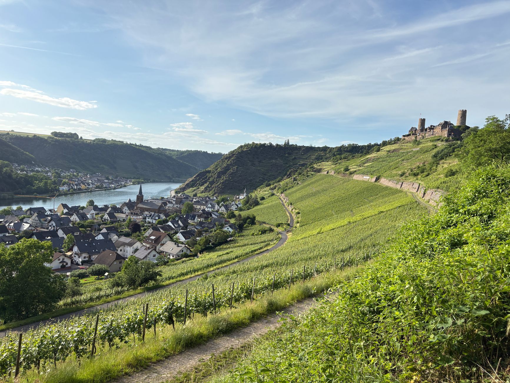 Rhine Valley Castles Road Trip (2 Days)