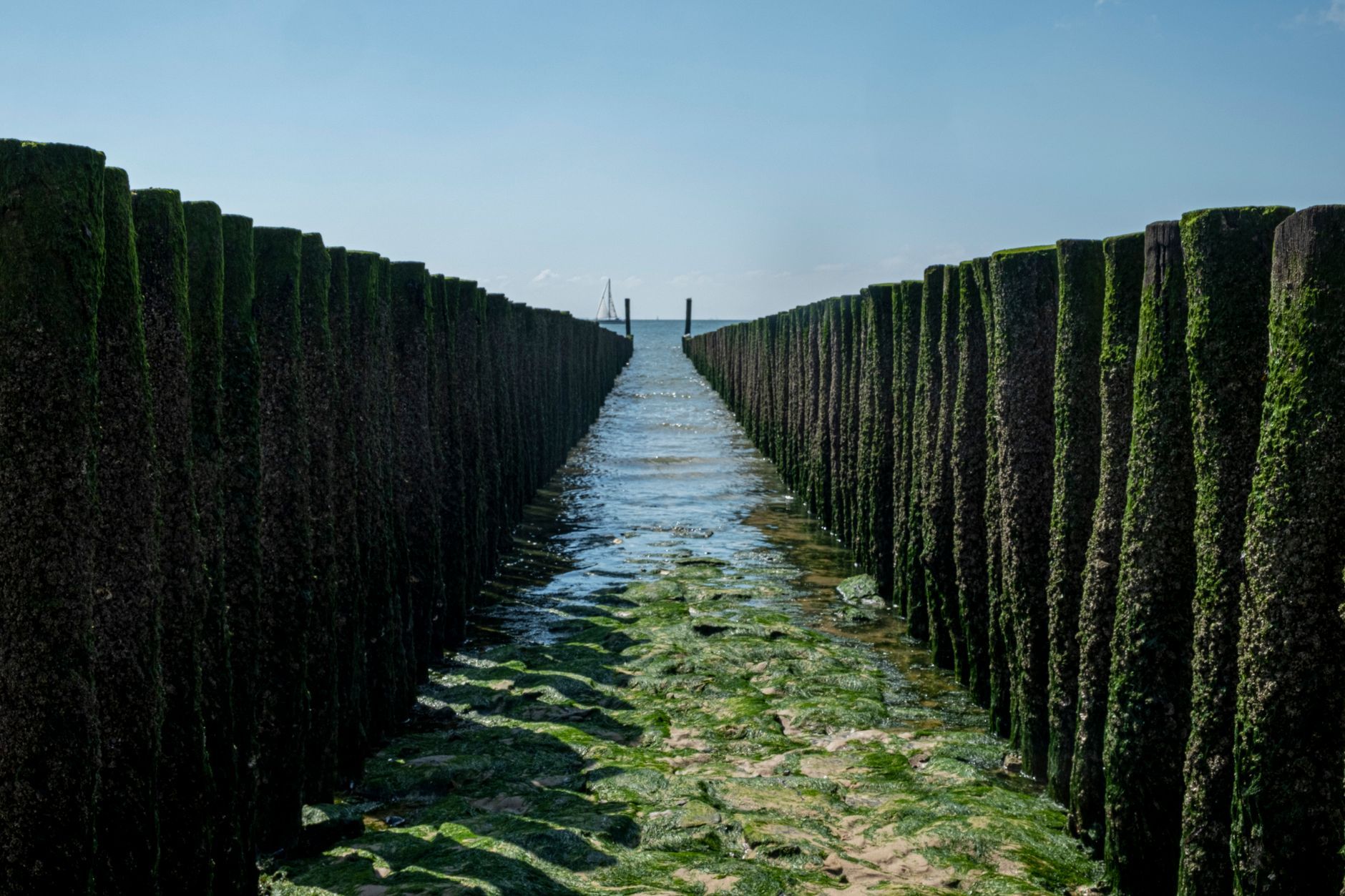 Zeeland Delta Road Trip: Rotterdam to Sluis (3 Days)
